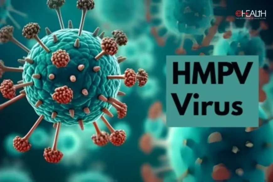 Kimlər Risk Altındadır? İnsan Metapnevrovirusu (HMPV) Yenidən Aktivləşdi